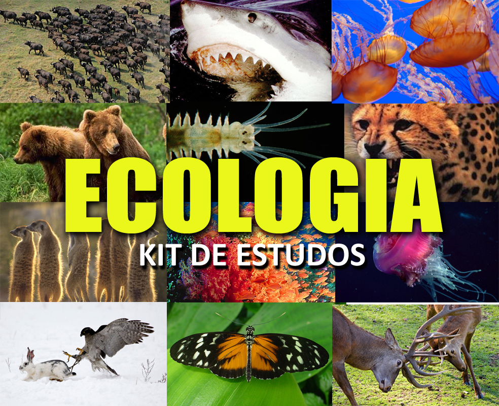 Fundamentos Em Ecologia Begon Pdf Download